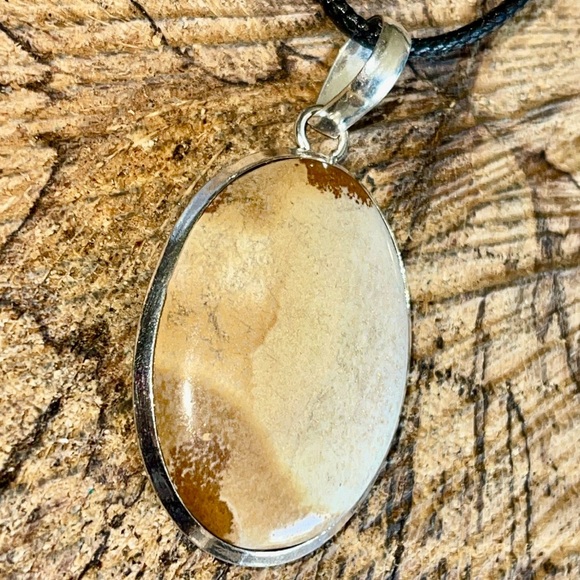 Owyhee Picture Jasper Pendant 2” - Picture 3 of 9